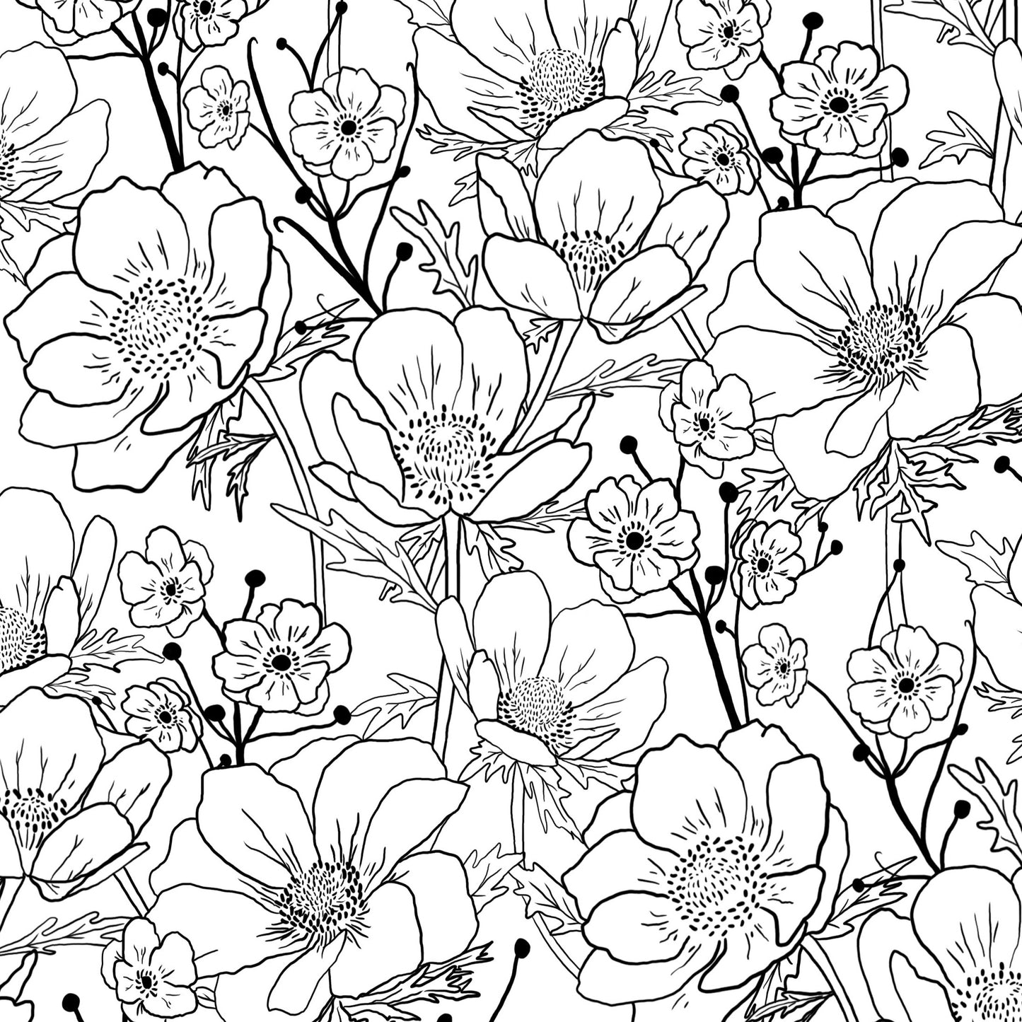Monochrome Flowers