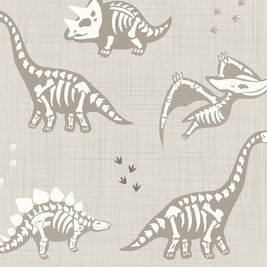 Dino Bones