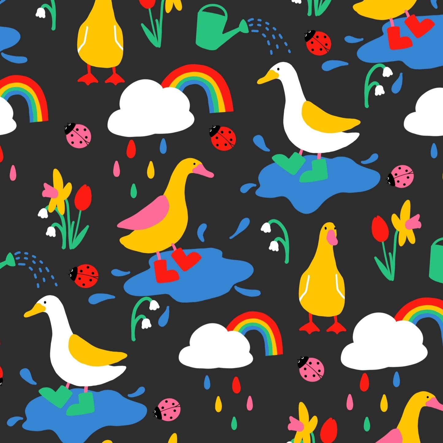Rainbow puddle ducks