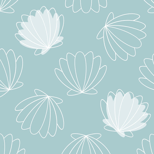 Shells
