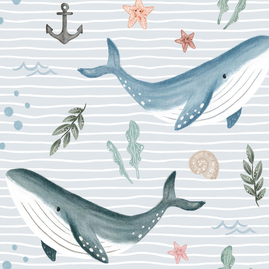 Jonahs whales